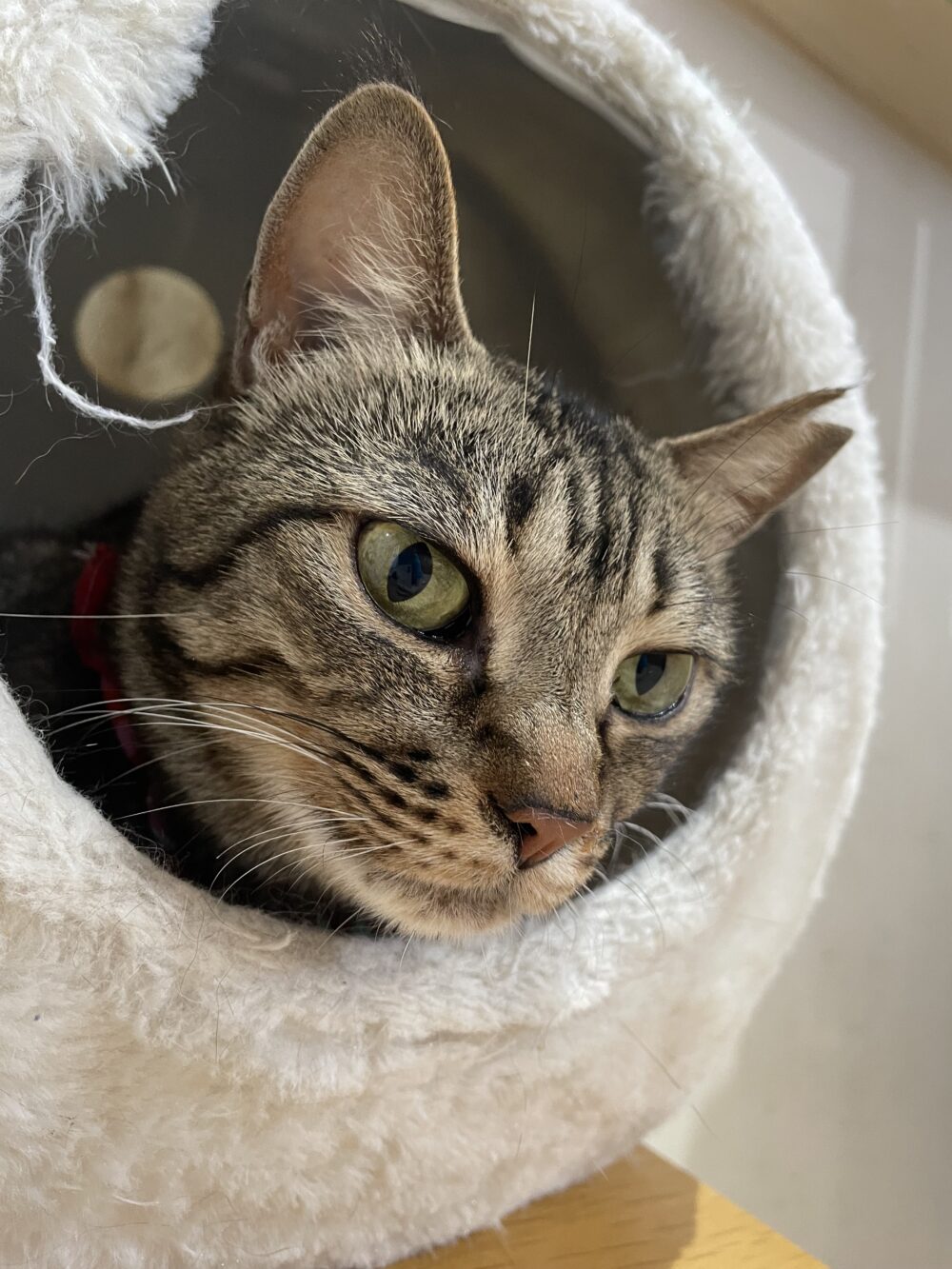 のびのび月曜日😍