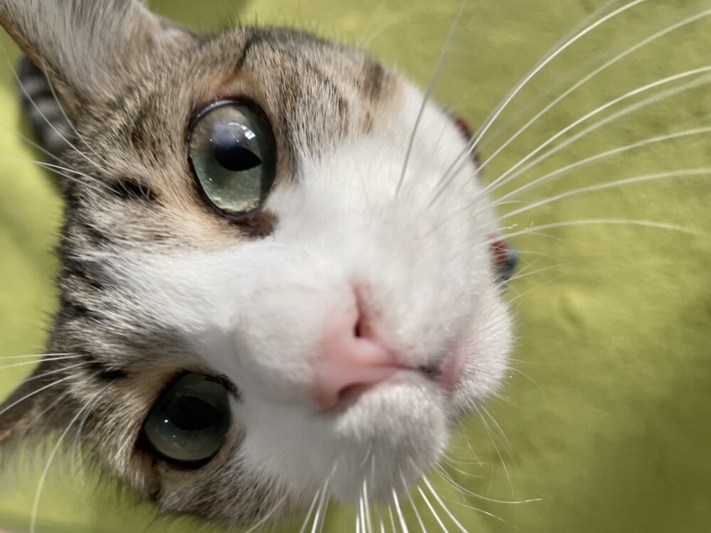 ゆる〜い金曜日😄