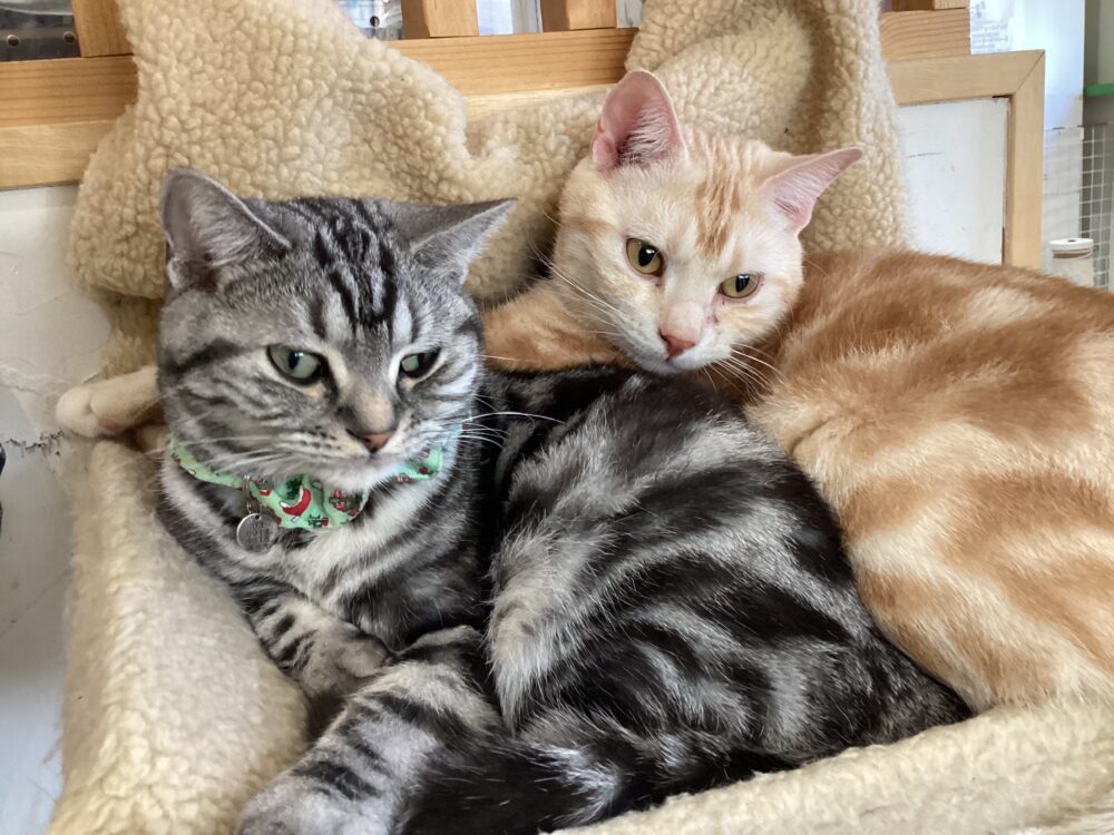 連休明けの火曜日🍁