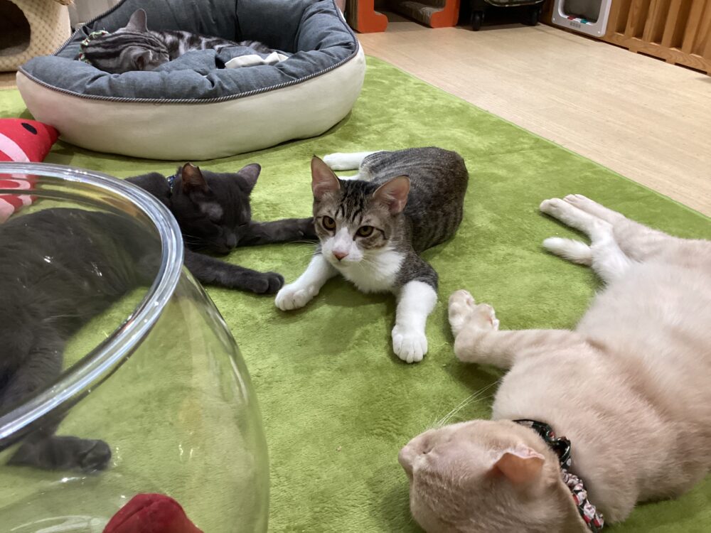 ニコニコ😀火曜日☺️