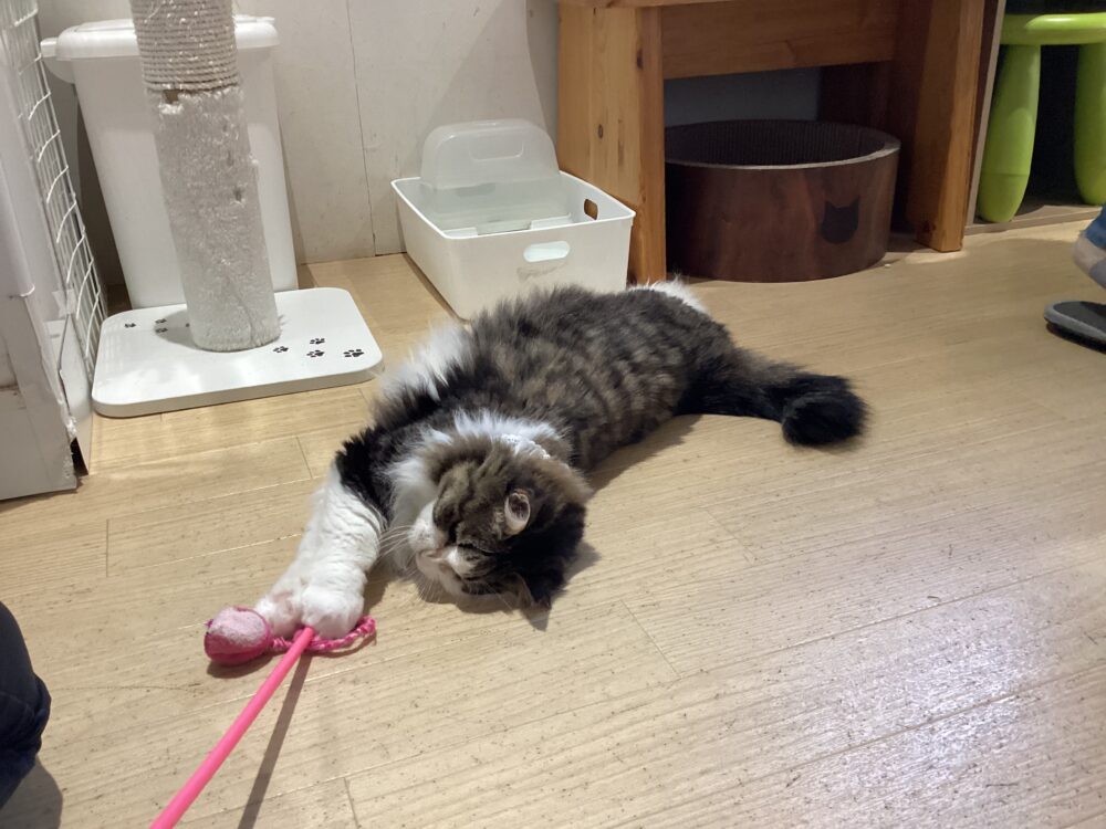 ニコニコ日曜日🤗