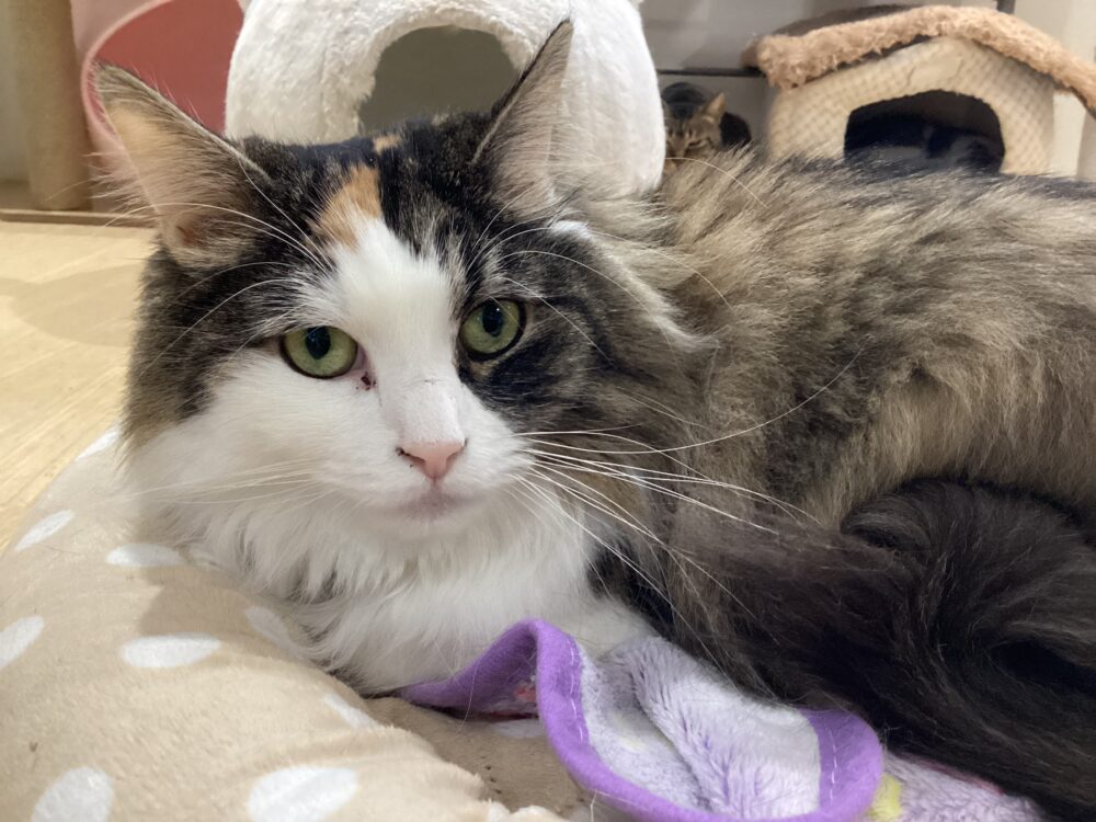 本日も定休日です🤗