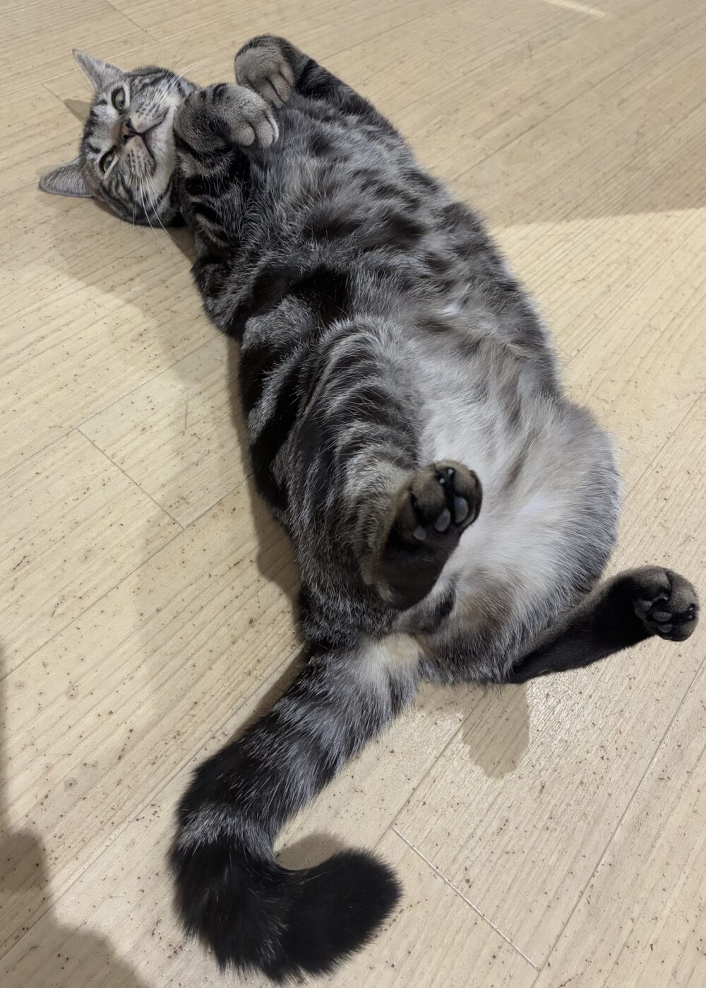 気ままな土曜日🙂