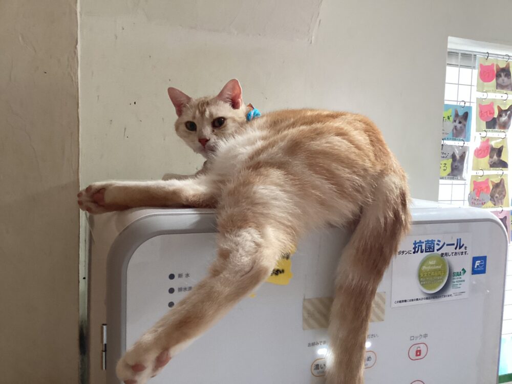 ニコニコ火曜日🤗そして嬉しいお知らせも☺️