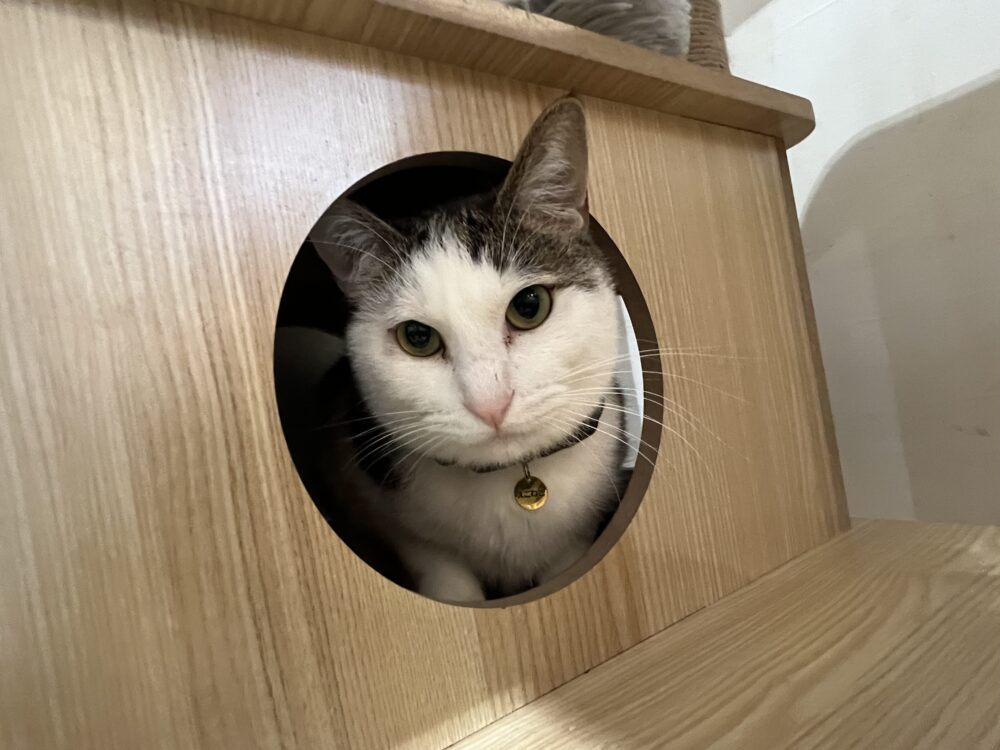 ほっこり♨️火曜日