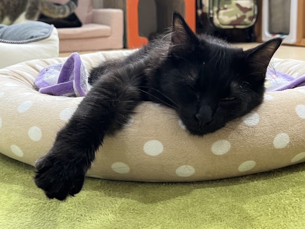 しずかな火曜日