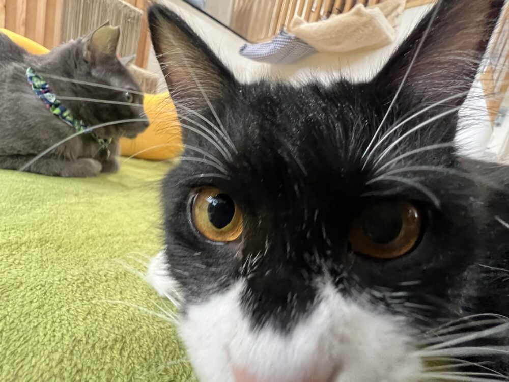 のびのび木曜日📢うれしいお知らせも