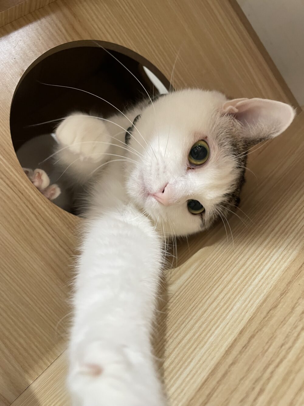 わちゃわちゃ月曜日😆