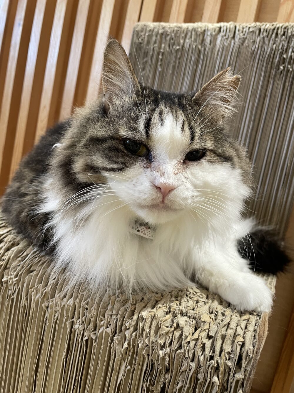 寒さに負けない金曜日😆