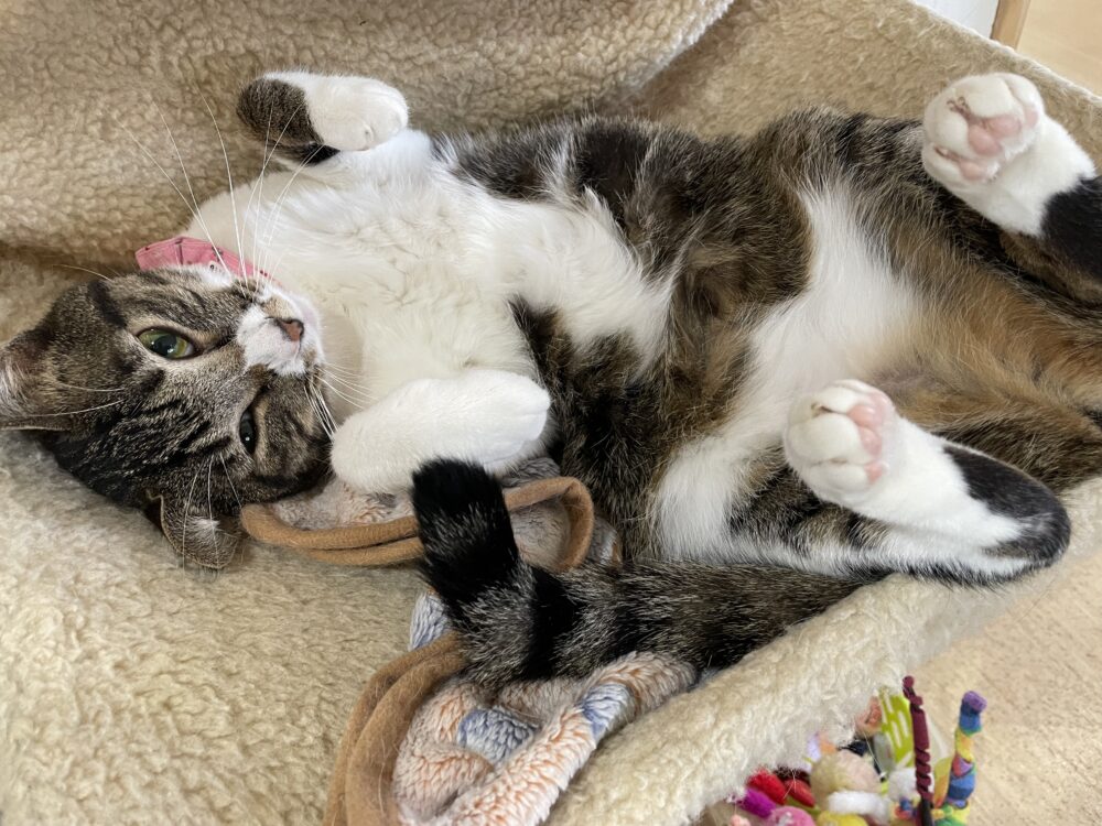 楽しい金曜日✨