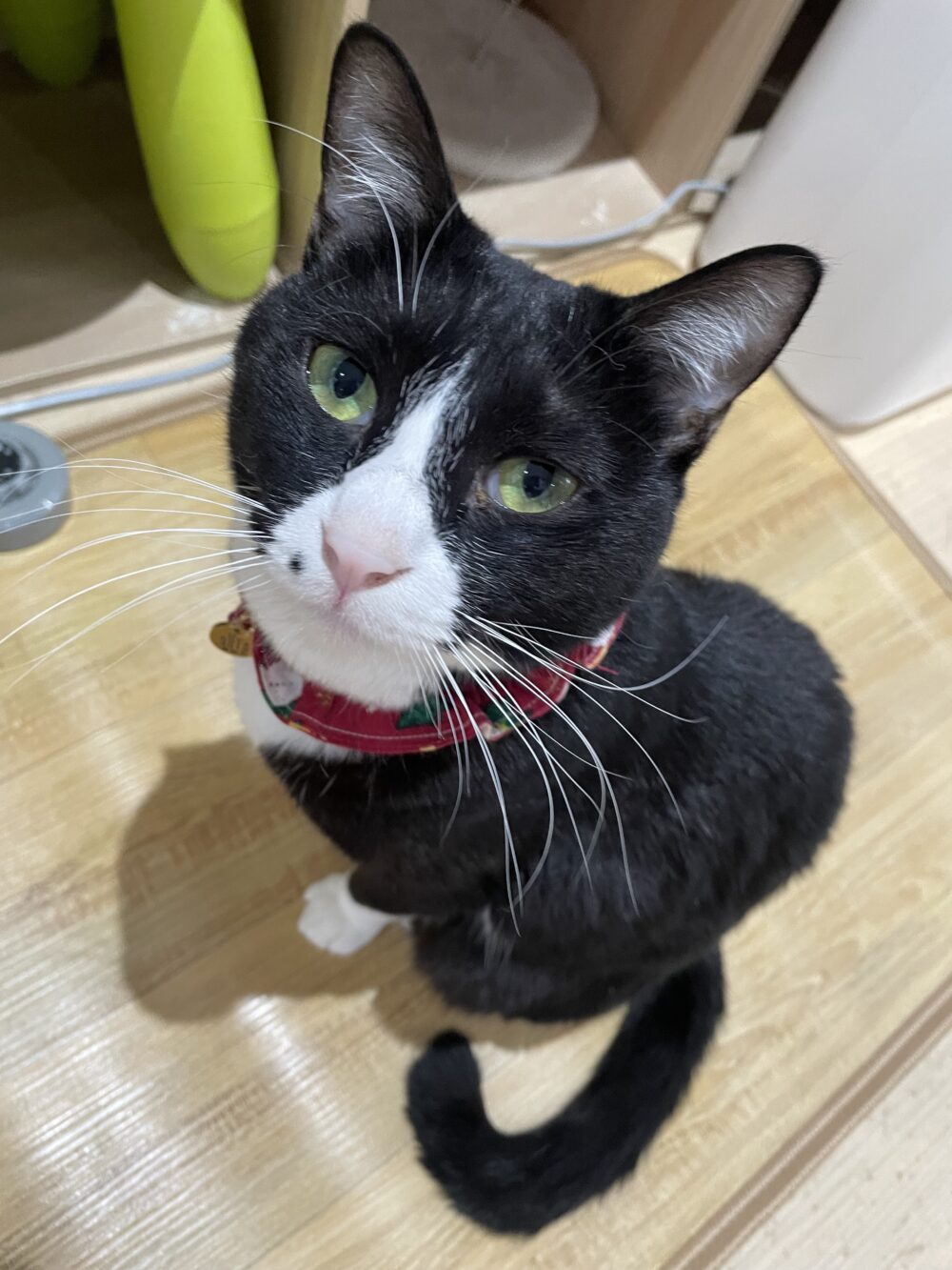 わちゃわちゃ土曜日😙