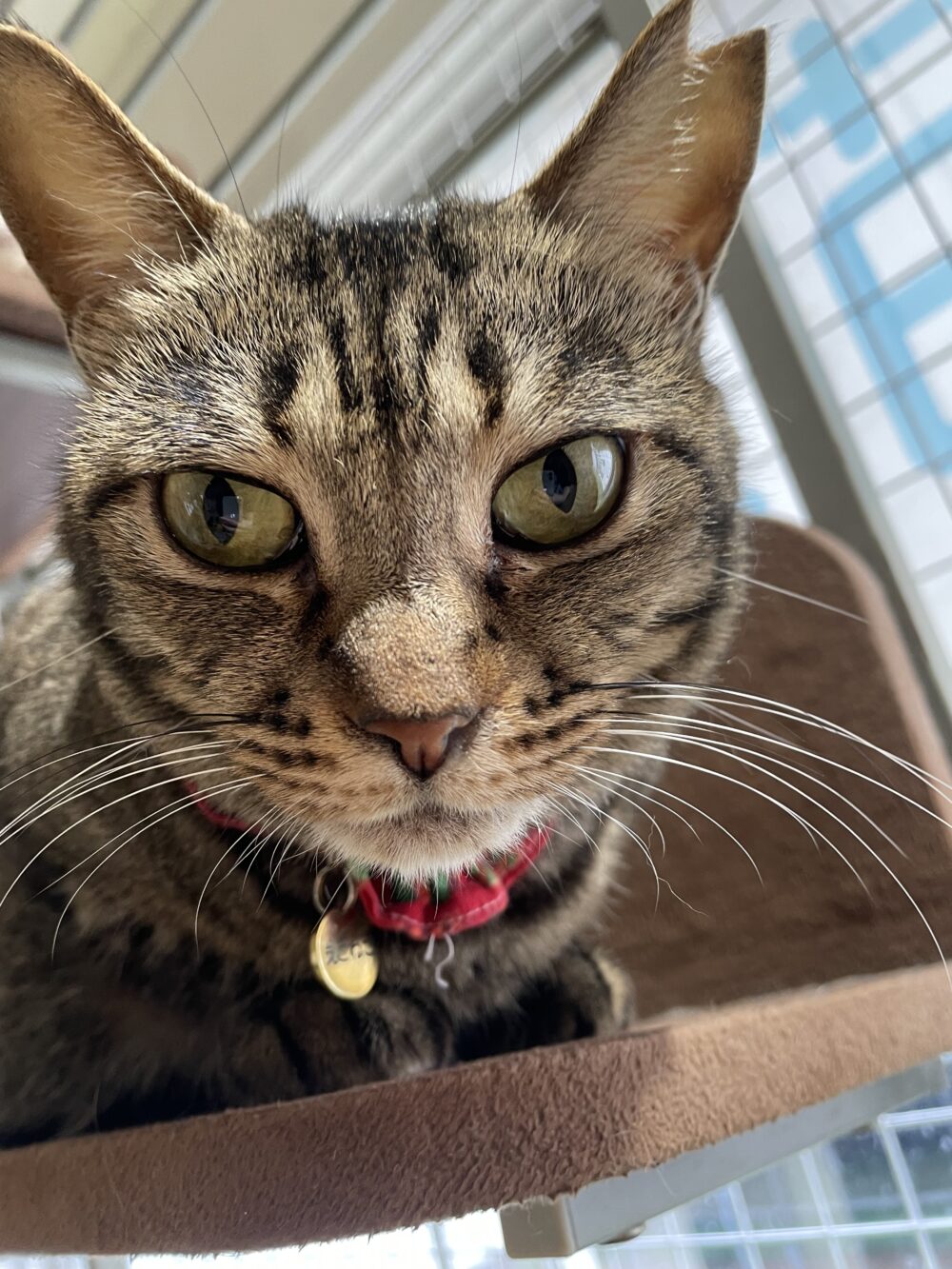 のんびり土曜日😁嬉しいお知らせも