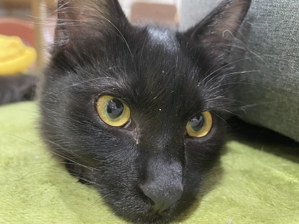 静かな月曜日😌