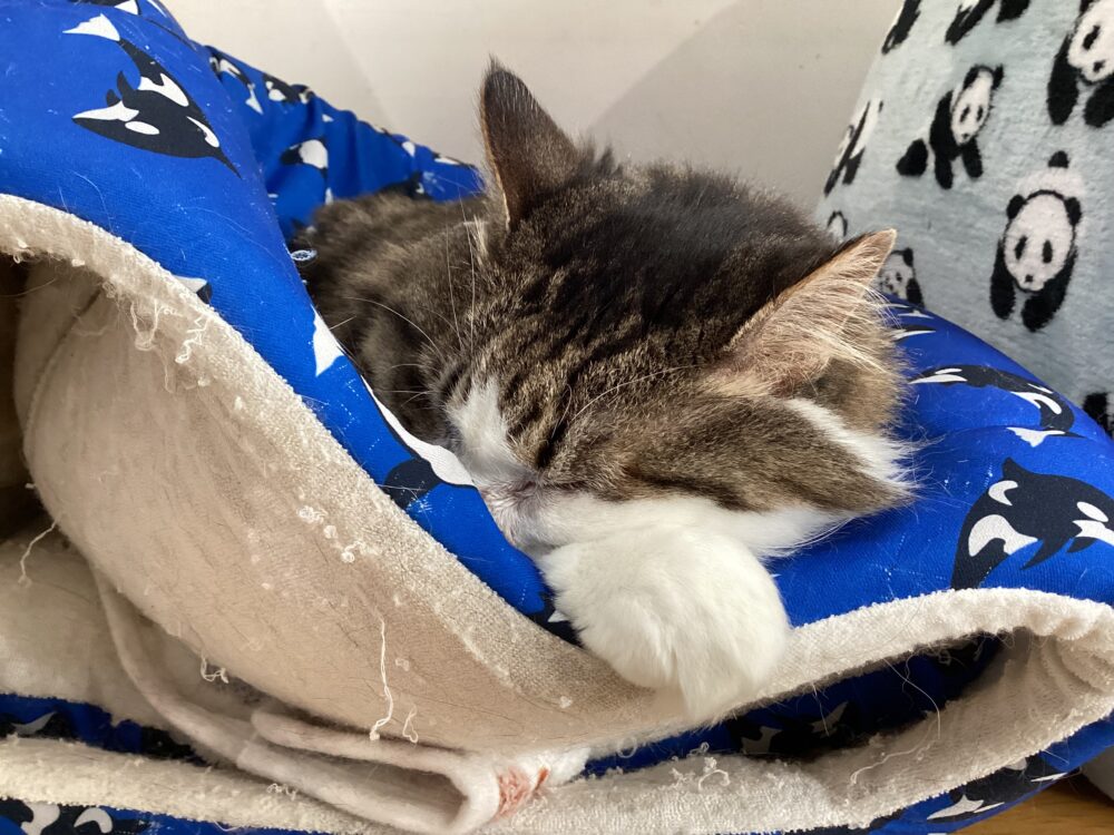 本日は定休日です🤗