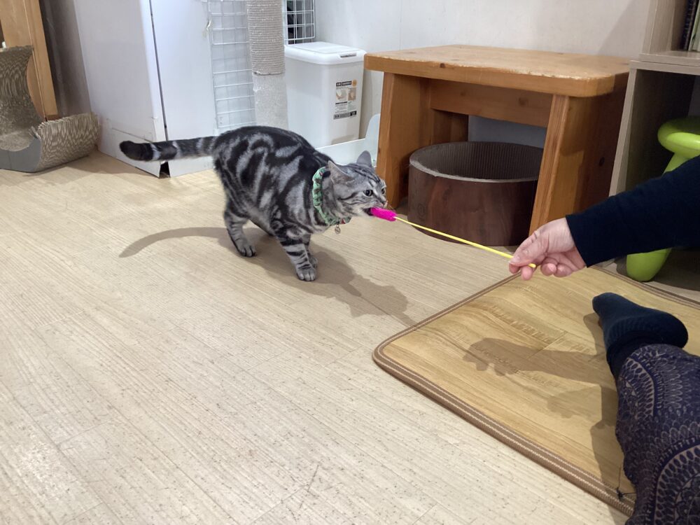 のんびり木曜日🤗