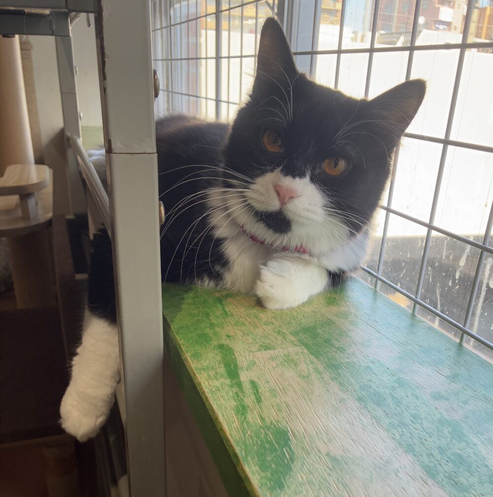 のびのび土曜日😁