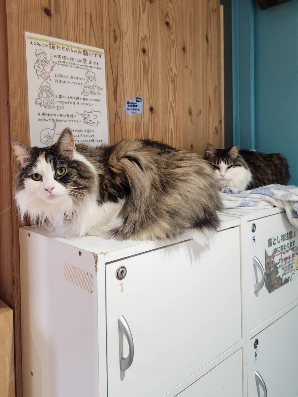 本日は定休日です🤗