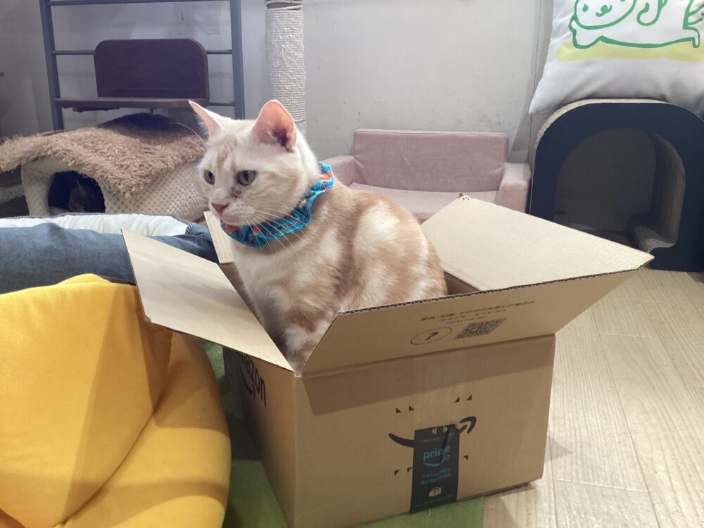 のんびり木曜日🤗