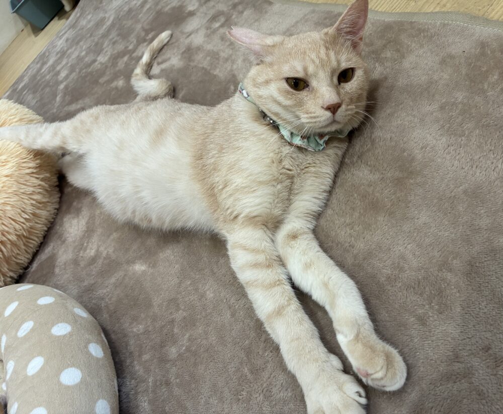 楽しい土曜日😆