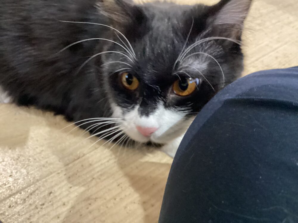 本日は定休日です✨