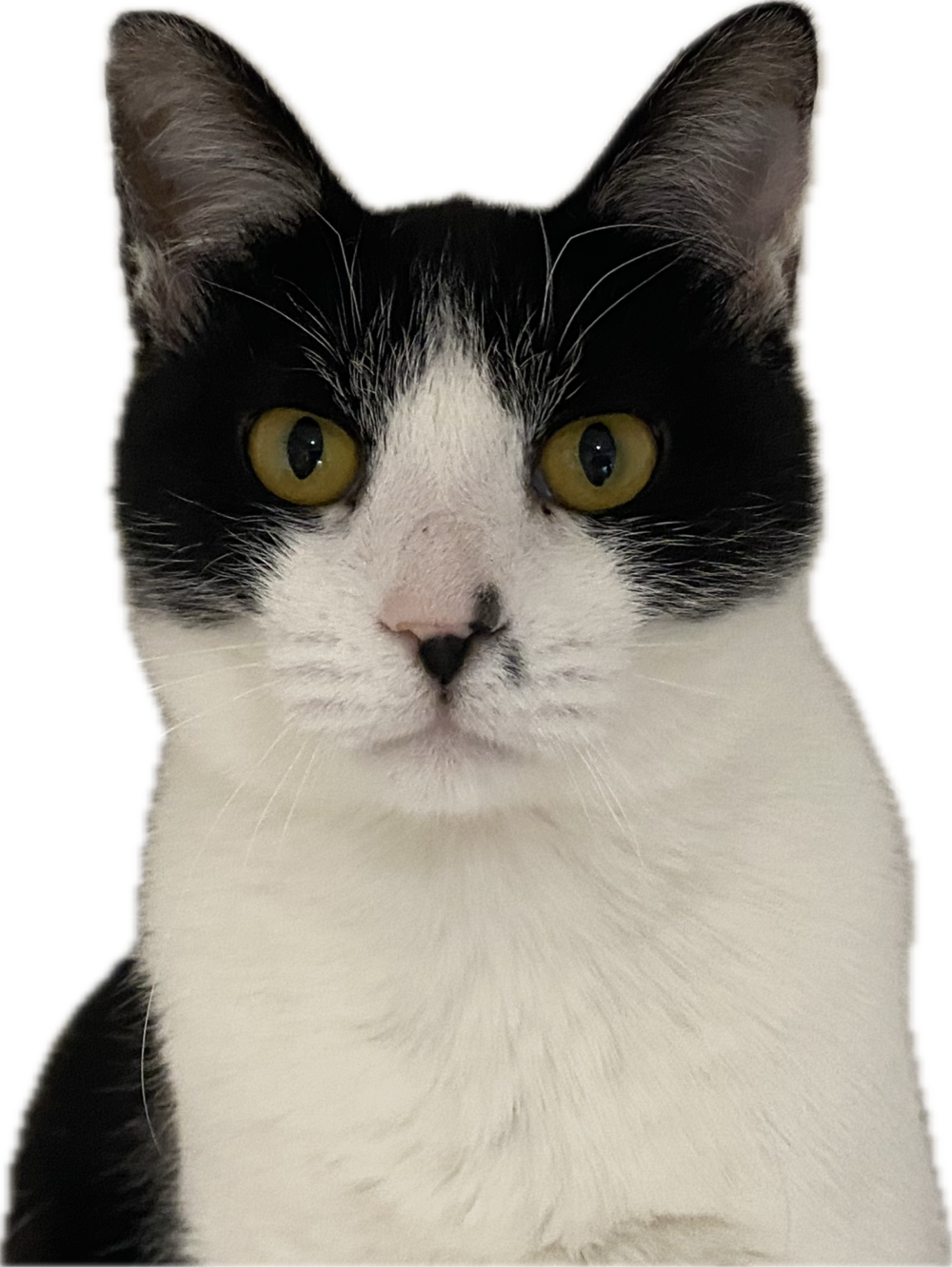 ねむねむ💤木曜日