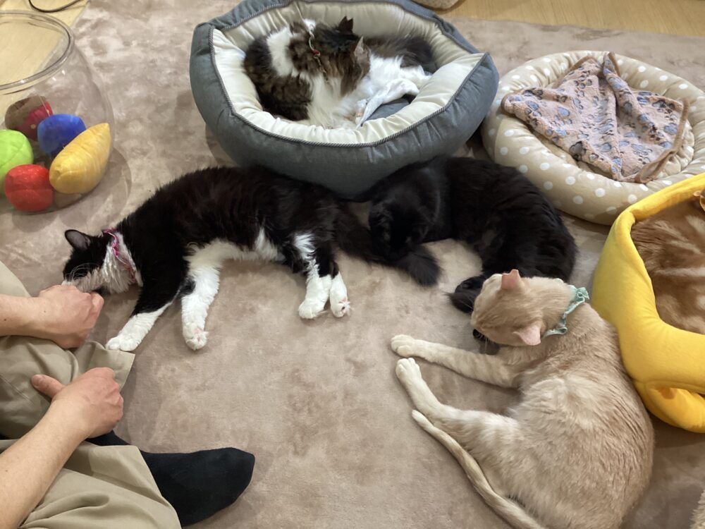 ニコニコ火曜日🤗