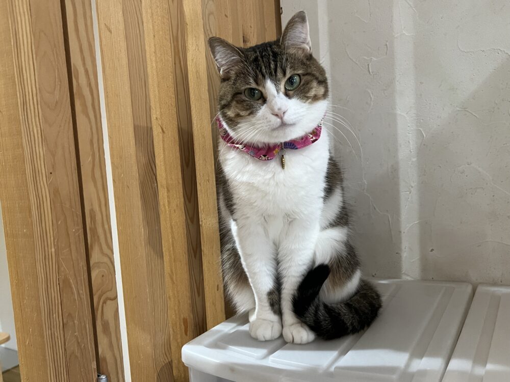 あったか☀️日曜日