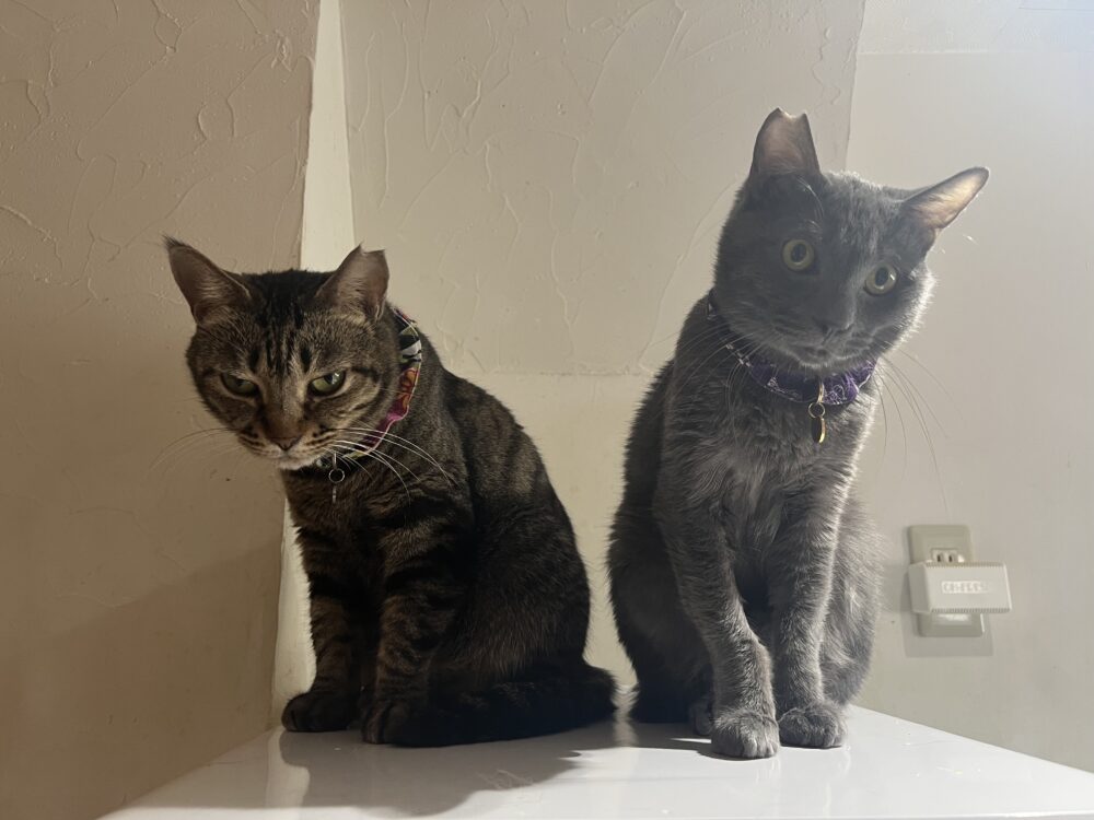 のんびり火曜日