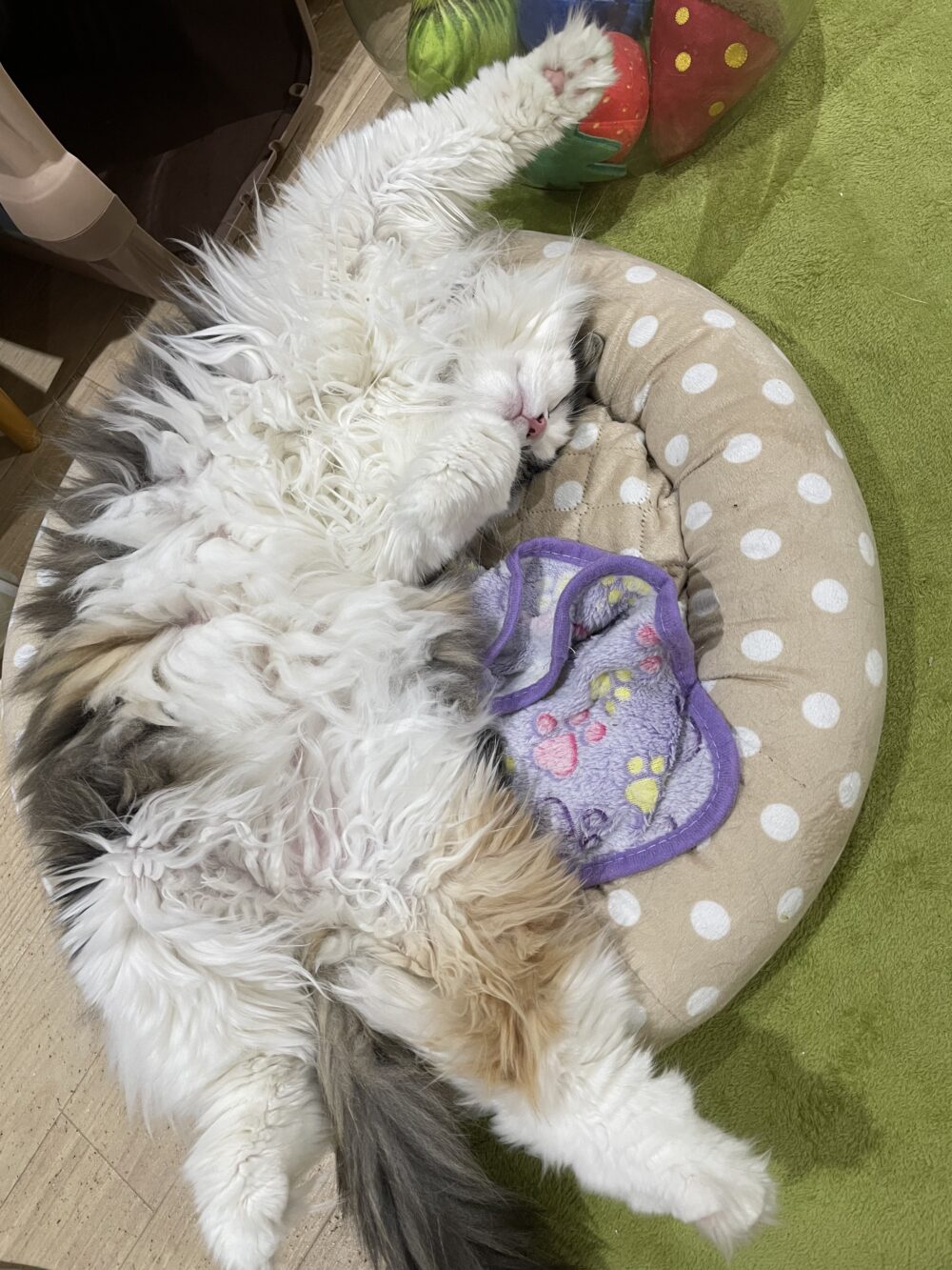 楽しい金曜日😆