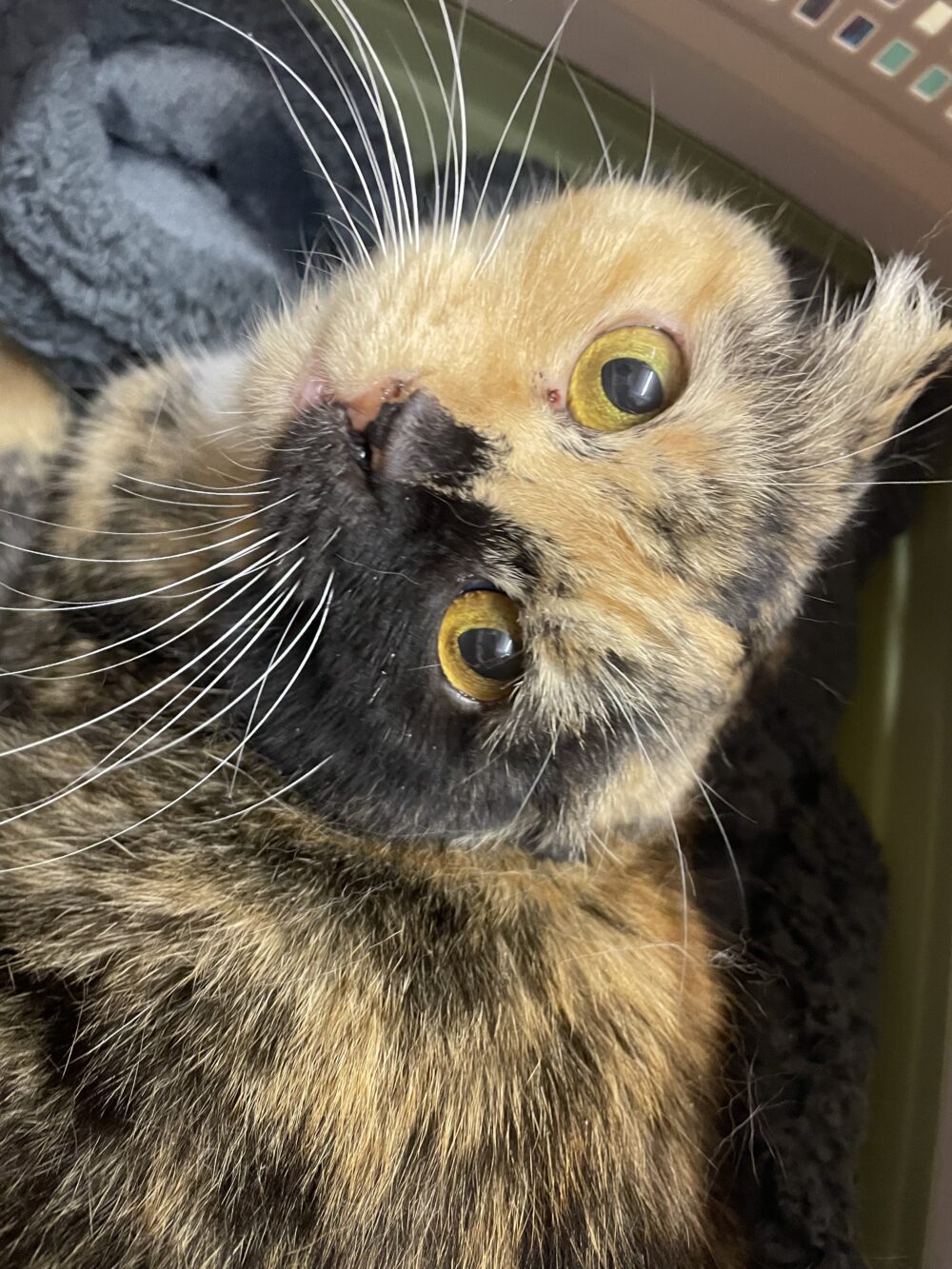 まったり金曜日😆