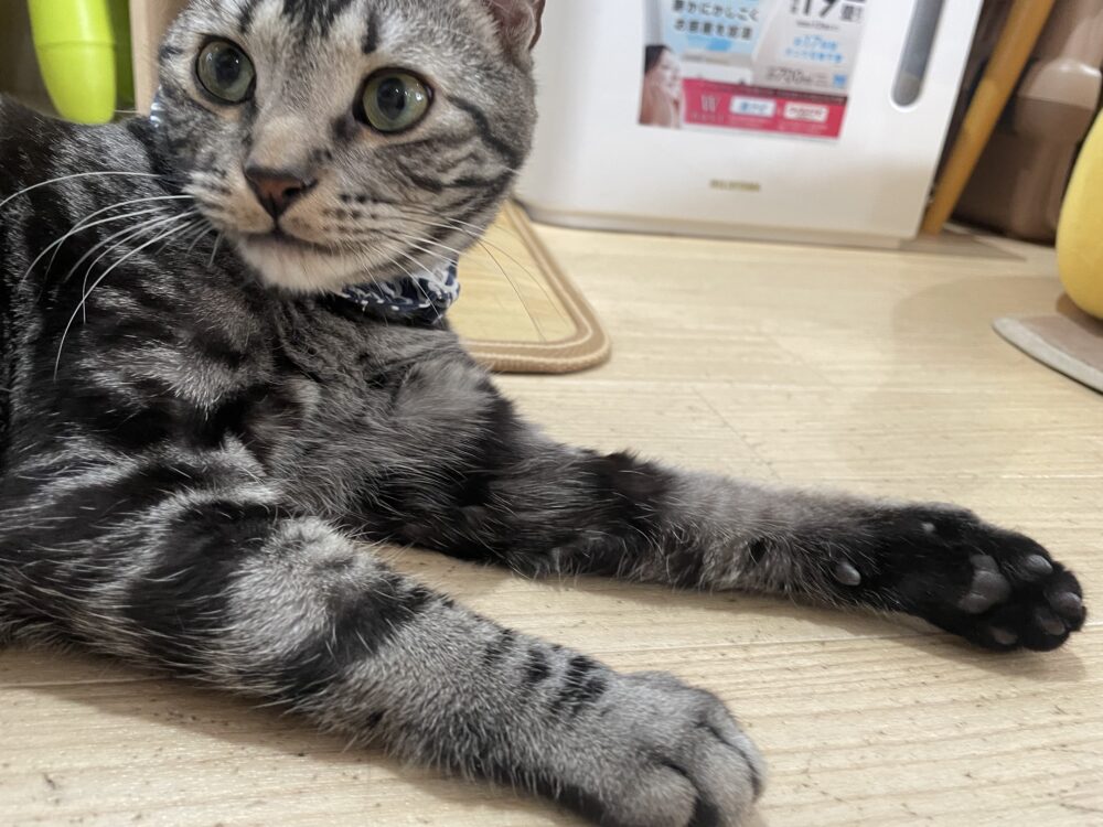 ラルゴ君卒業スペシャル👨‍🎓