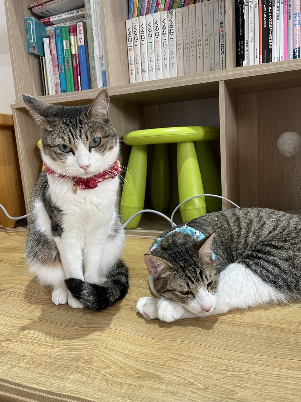 元気な金曜日😃