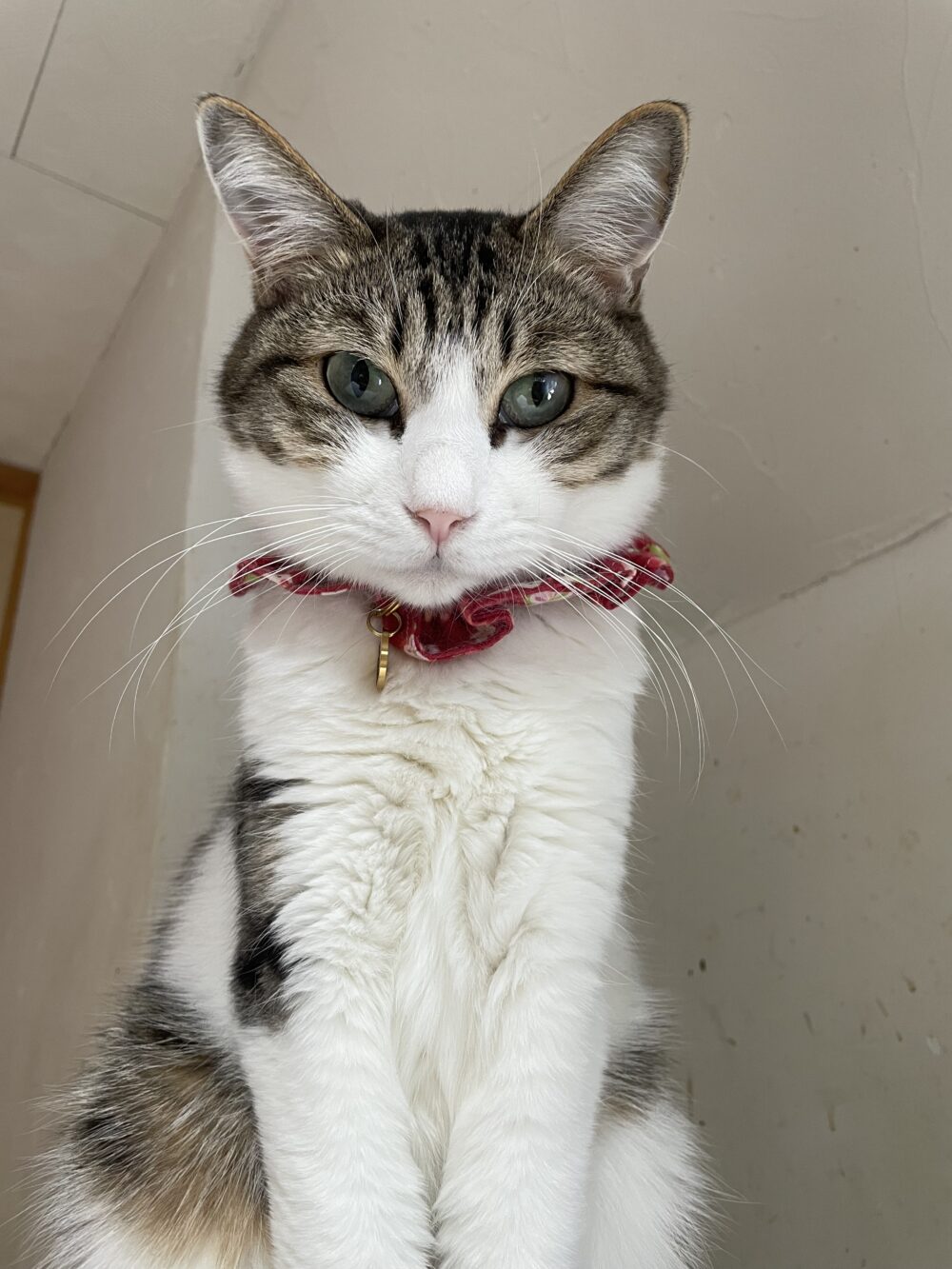 だらだら金曜日😁