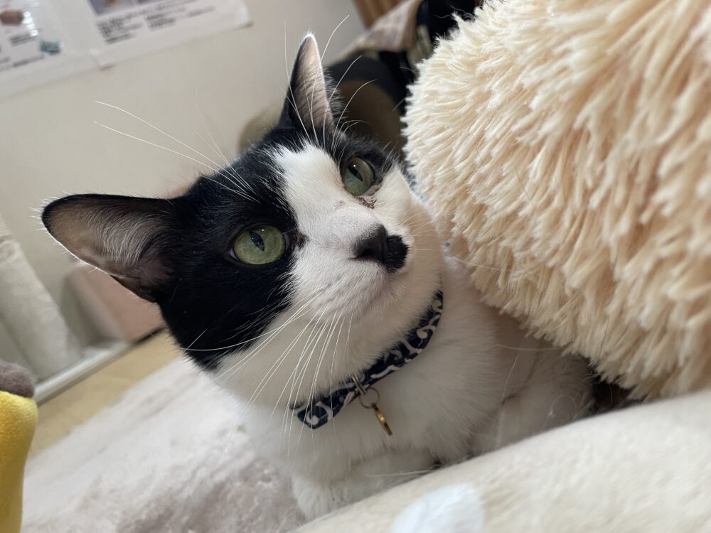 だらだら金曜日😚