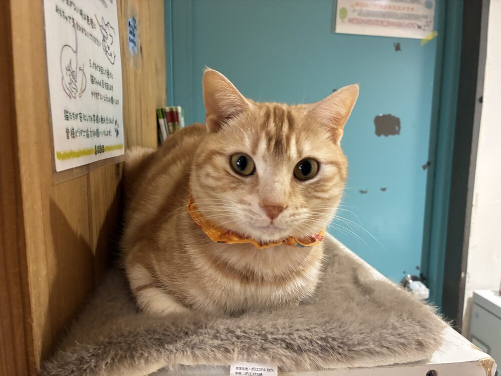 楽しい土曜日😆