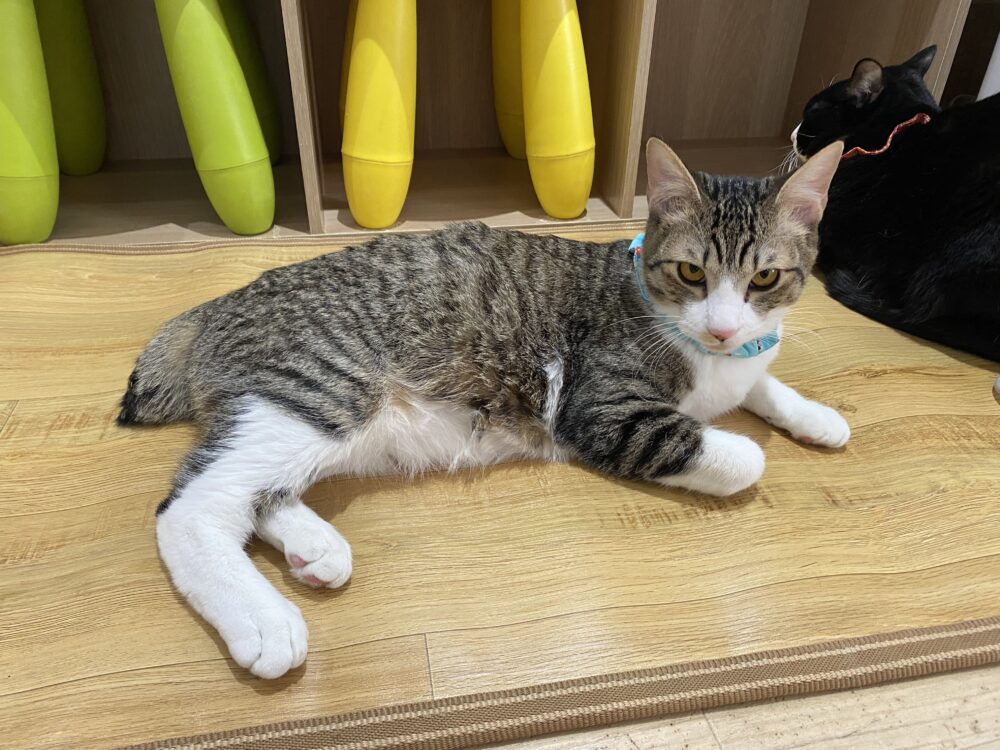 ゆきだ！☃️日曜日うれしいお知らせも。