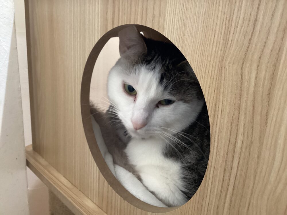 本日定休日です