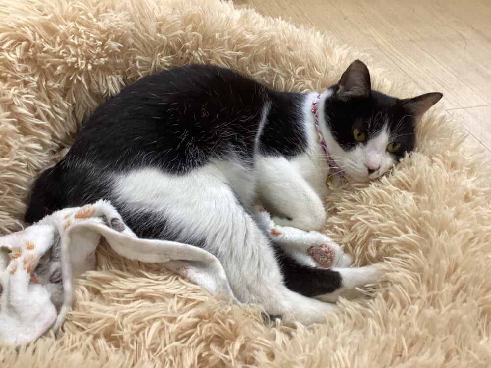 本日は定休日です🤗