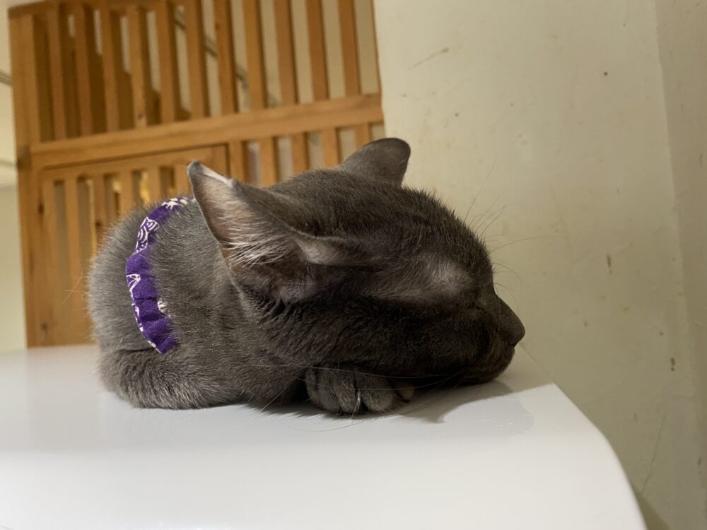 おだやか☁️木曜日