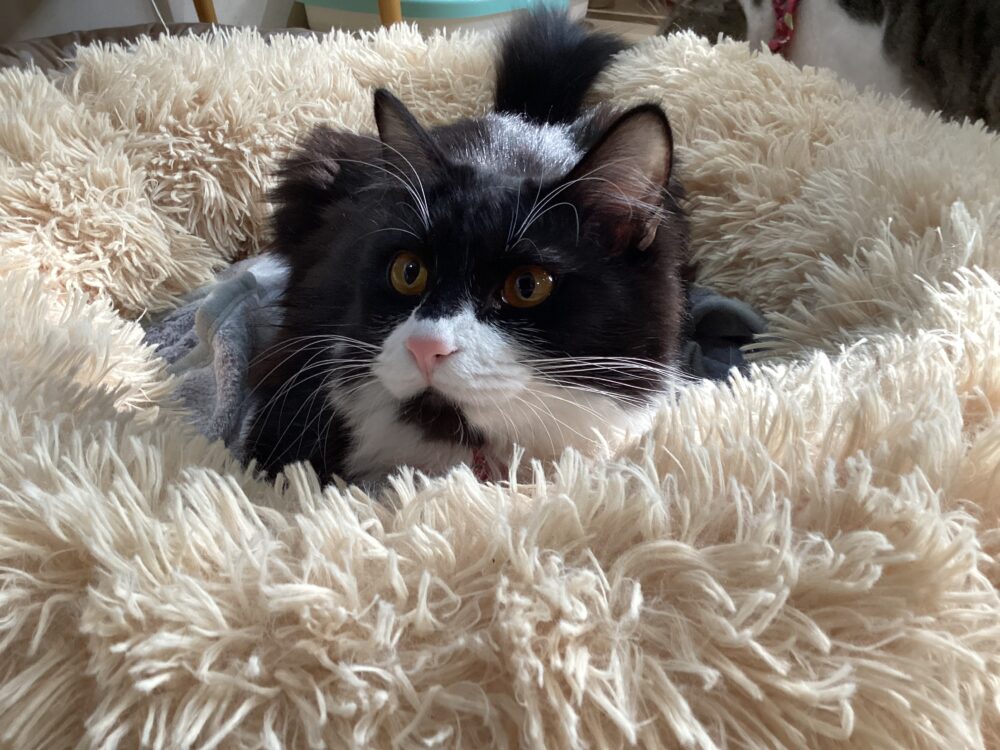 本日は定休日です🤗