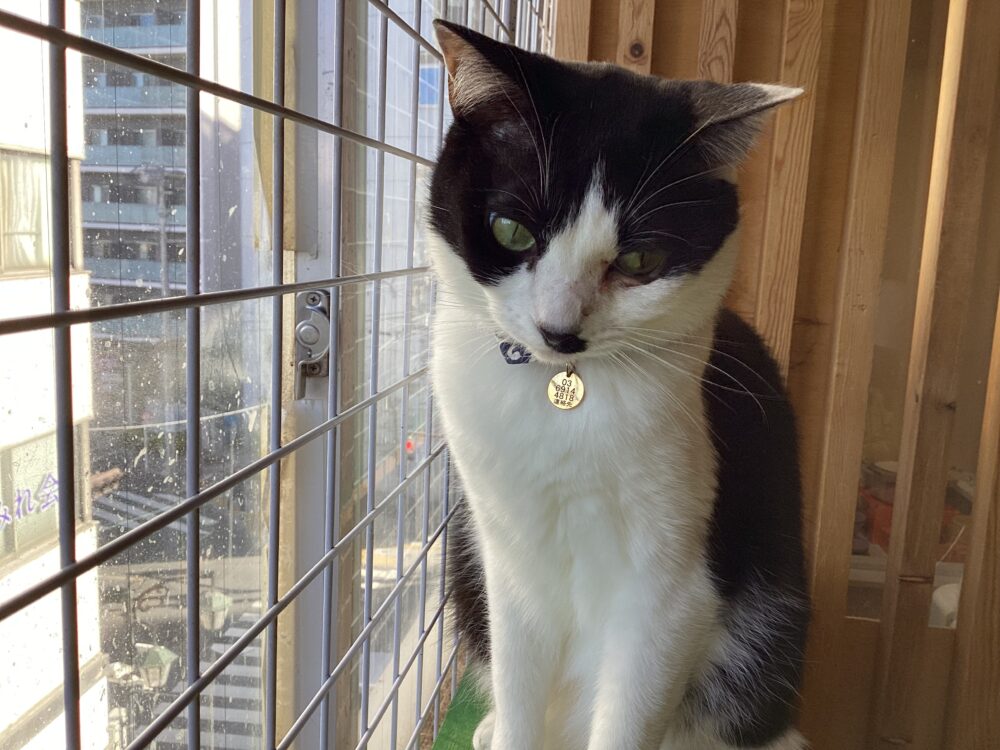 本日も定休日です🤗