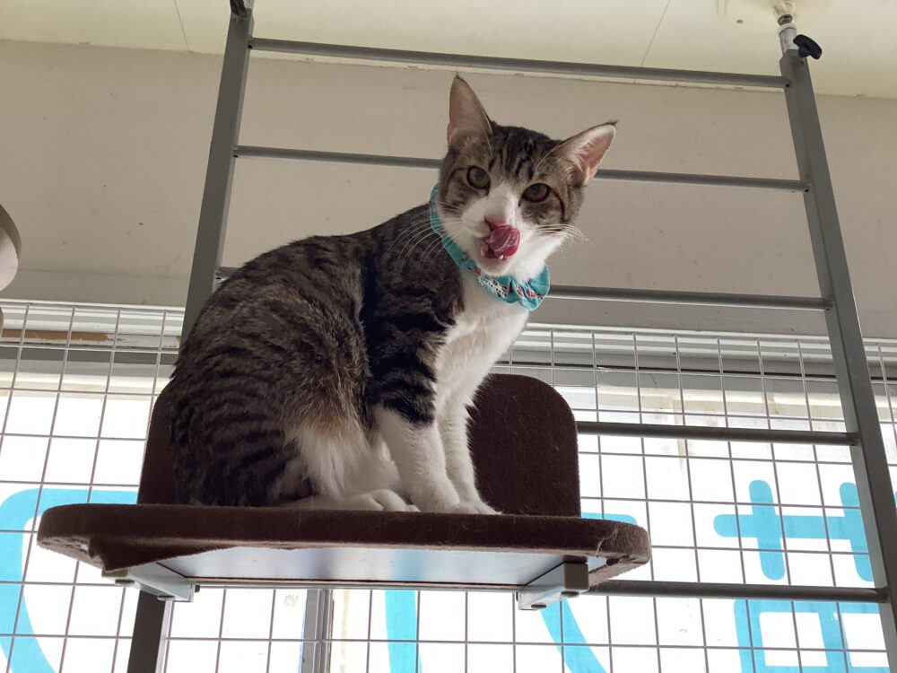 ニコニコ日曜日🤗