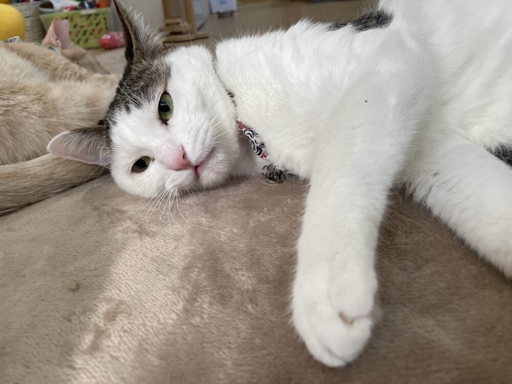 ぽかぽか月曜日😊