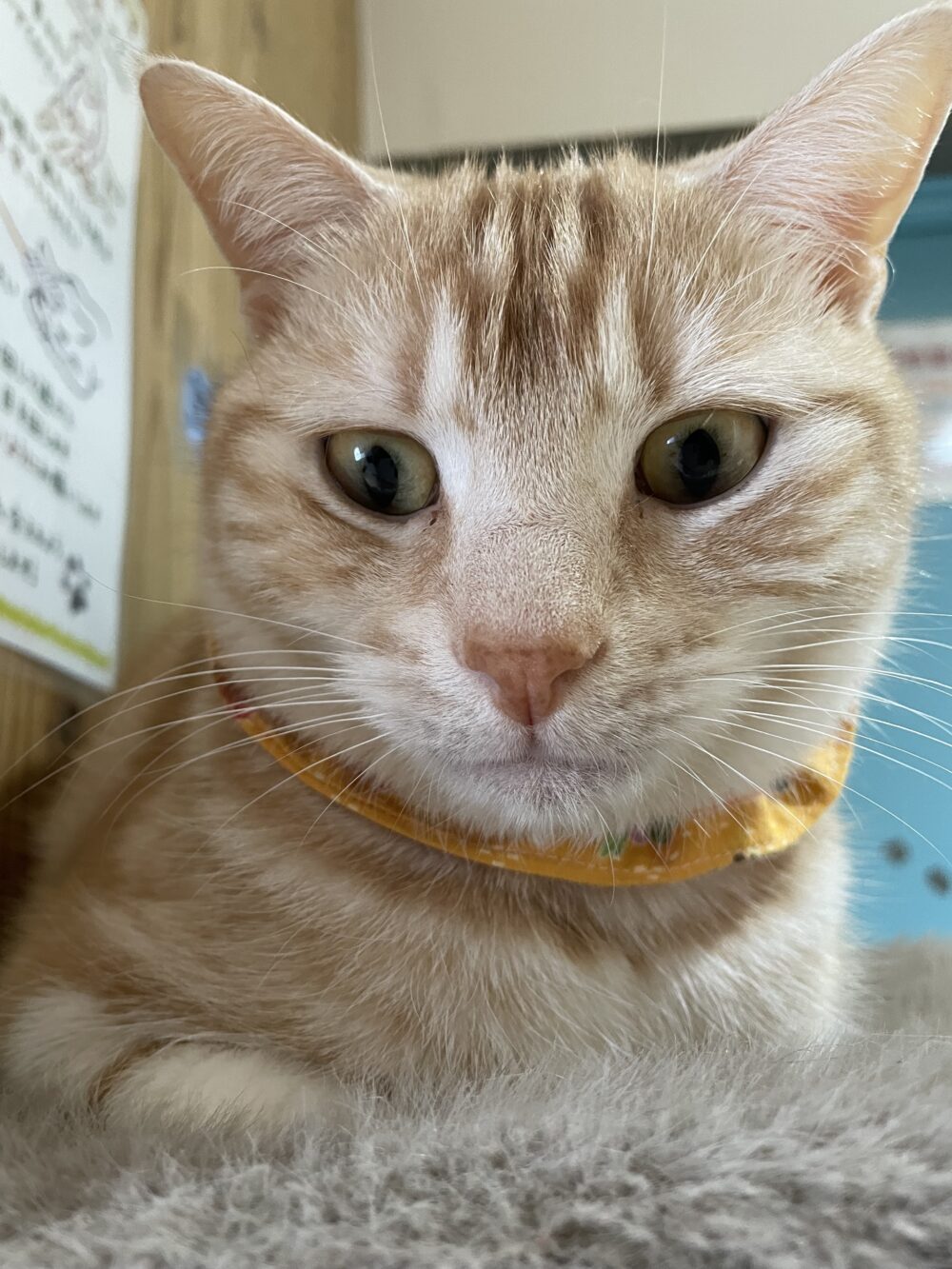 だらだら木曜日😚