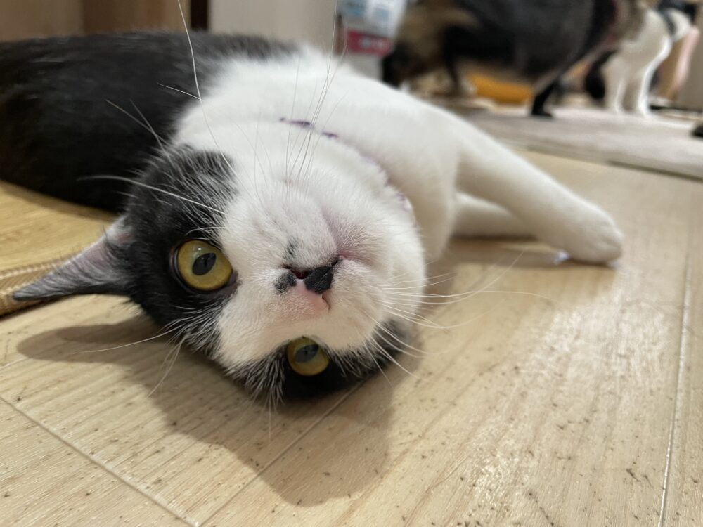 わちゃわちゃ金曜日😊