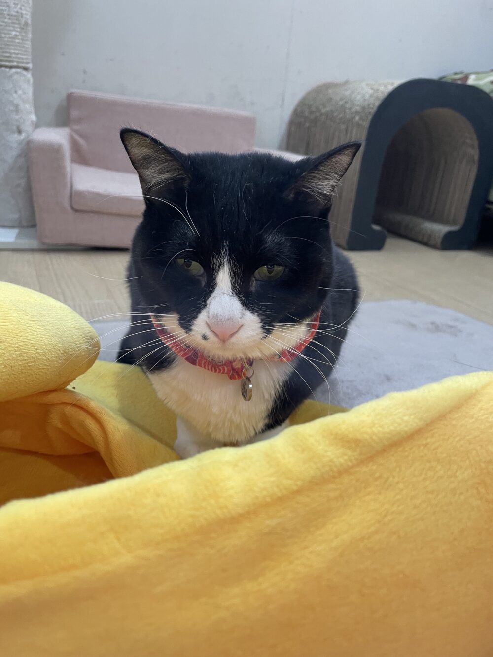 のんびり月曜日😁嬉しいお知らせも