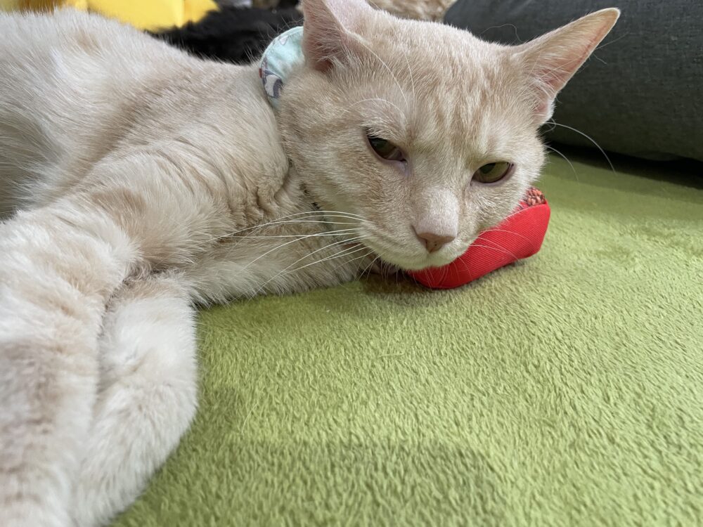 のびのび土曜日😁