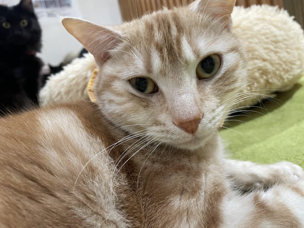 ごろごろ月曜日😁嬉しいお知らせも