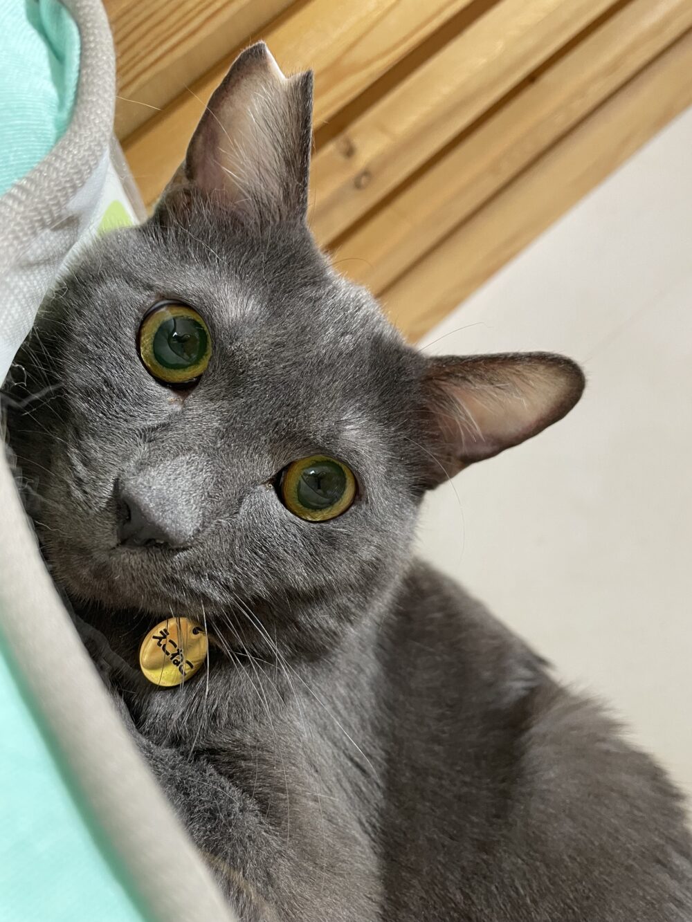 仲良し金曜日✨