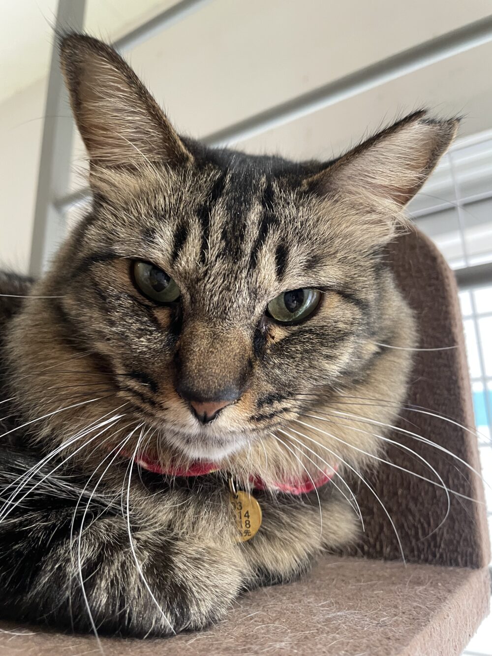 楽しい土曜日😊